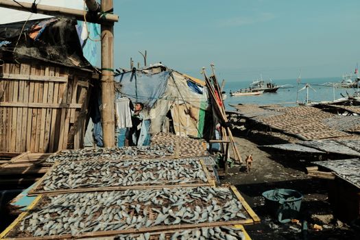 Scene of fish drying along the Philippine coast with boats and rustic huts. - Fotografer Sidoarjo