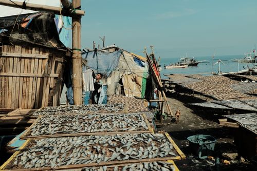 Free Scene of fish drying along the Philippine coast with boats and rustic huts. Stock Photo