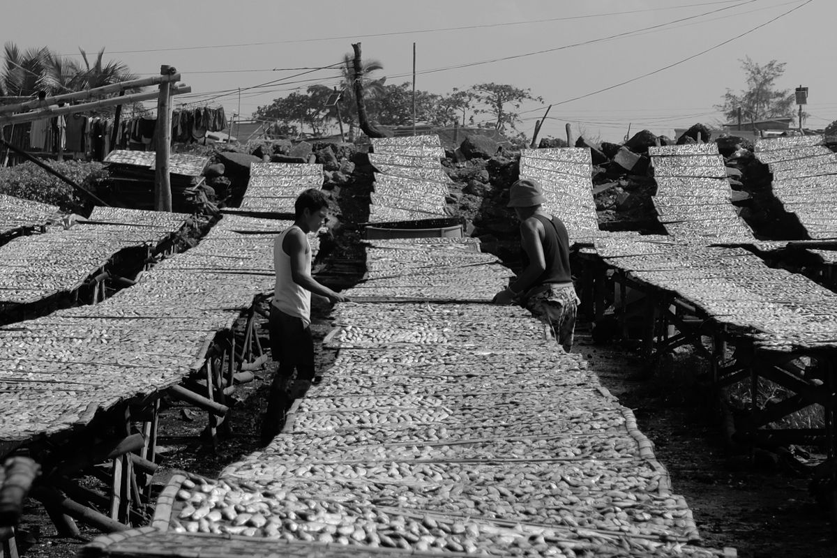 Capiz culture