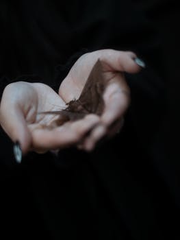 A pair of hands gently cradles a moth, creating a sense of mystery and tranquility.