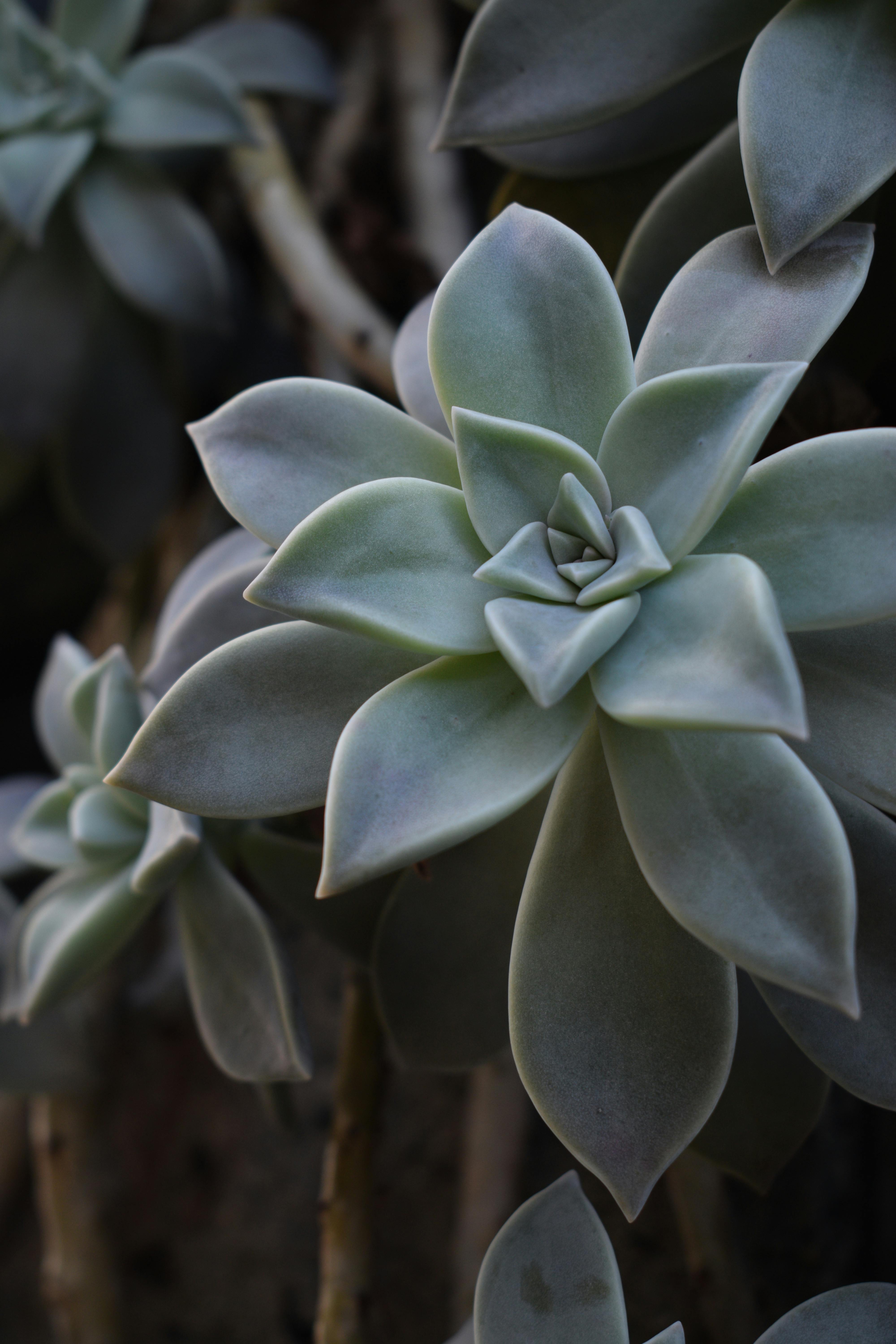 Timeline Background Photos, Download The BEST Free Timeline Background ...