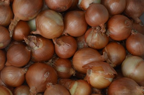 Free A close-up of fresh, brown onions stacked together, showcasing their texture and natural color. Stock Photo