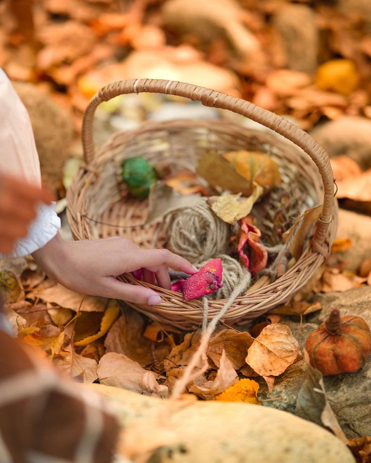 A child's hand gathering colorful leaves into a basket on a leaf scavenger hunt