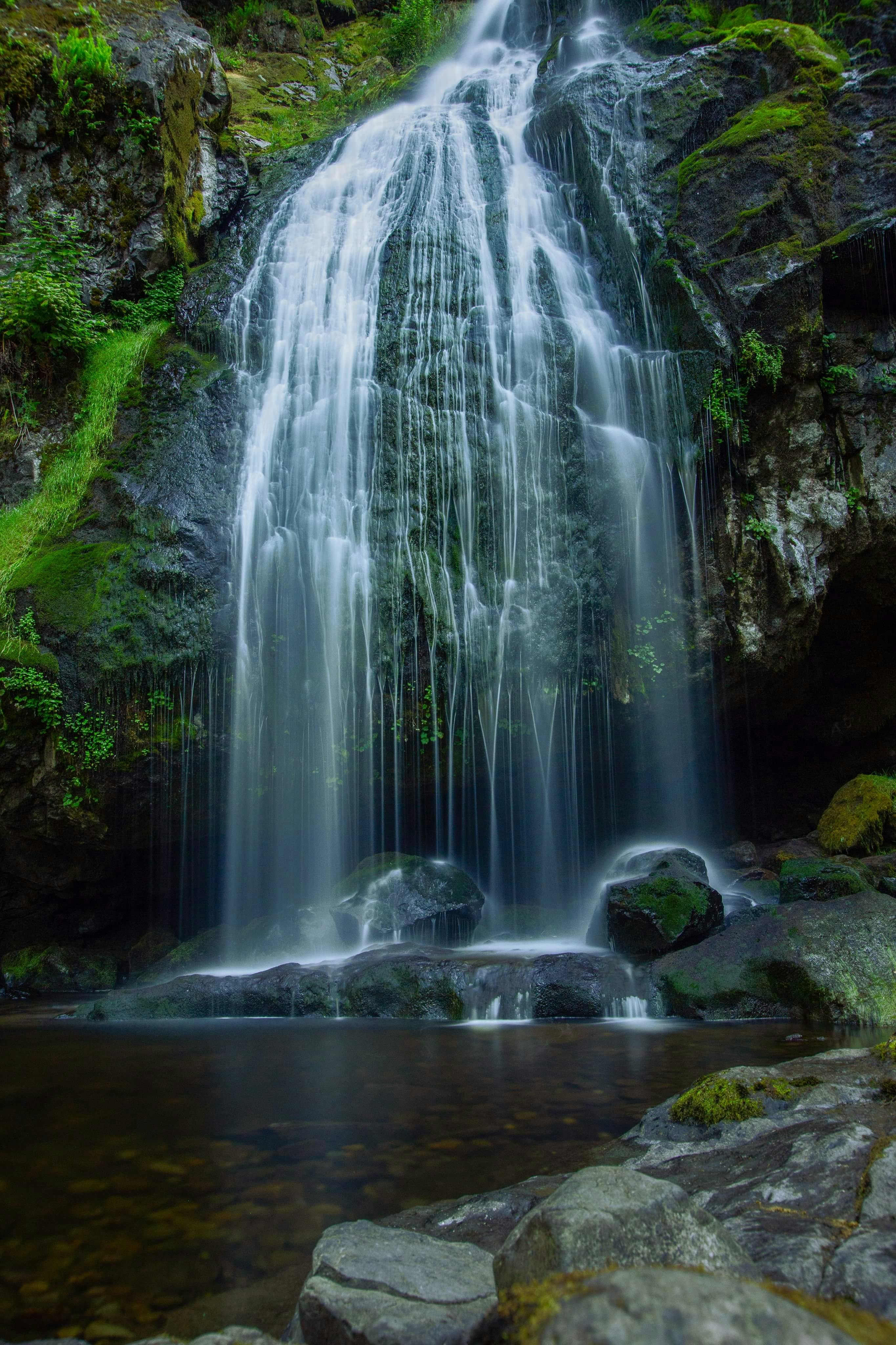 무료 워싱턴 주 숲속에 아름답게 쏟아지는 폭포는 자연의 고요함과 평온함을 보여줍니다. 스톡 사진