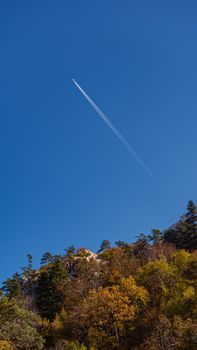 High-flying jet leaves contrail over vibrant autumn foliage against a clear blue sky.