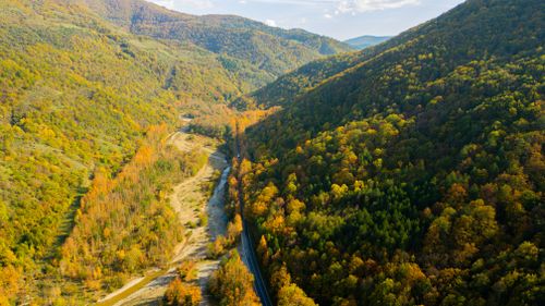 Free Stunning aerial view of a vibrant autumn valley with a meandering road. Stock Photo