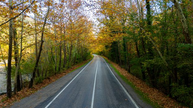A picturesque road through autumn foliage, perfect for fall travel inspiration.