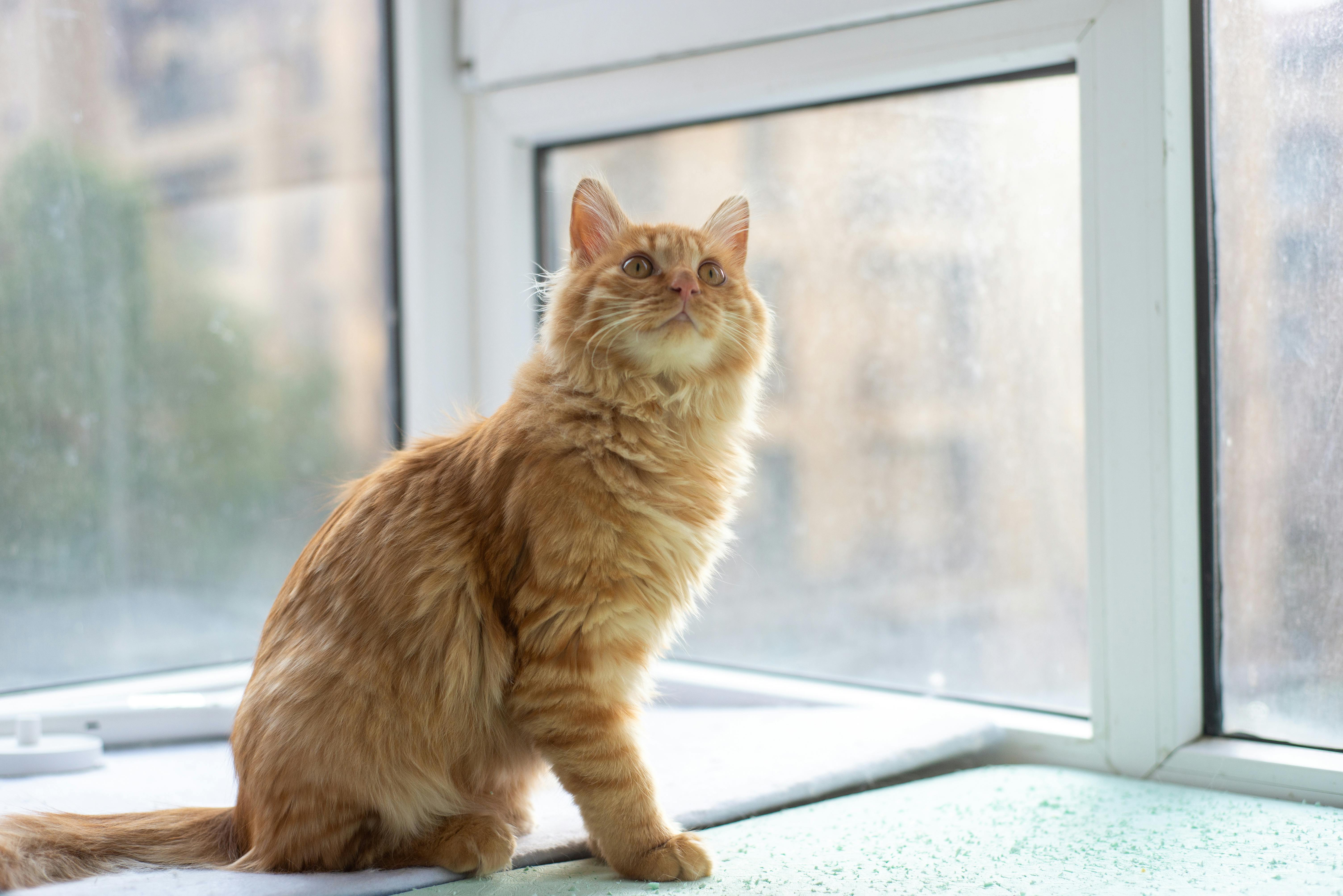 The 7 Deadly Sins Of PLR Content