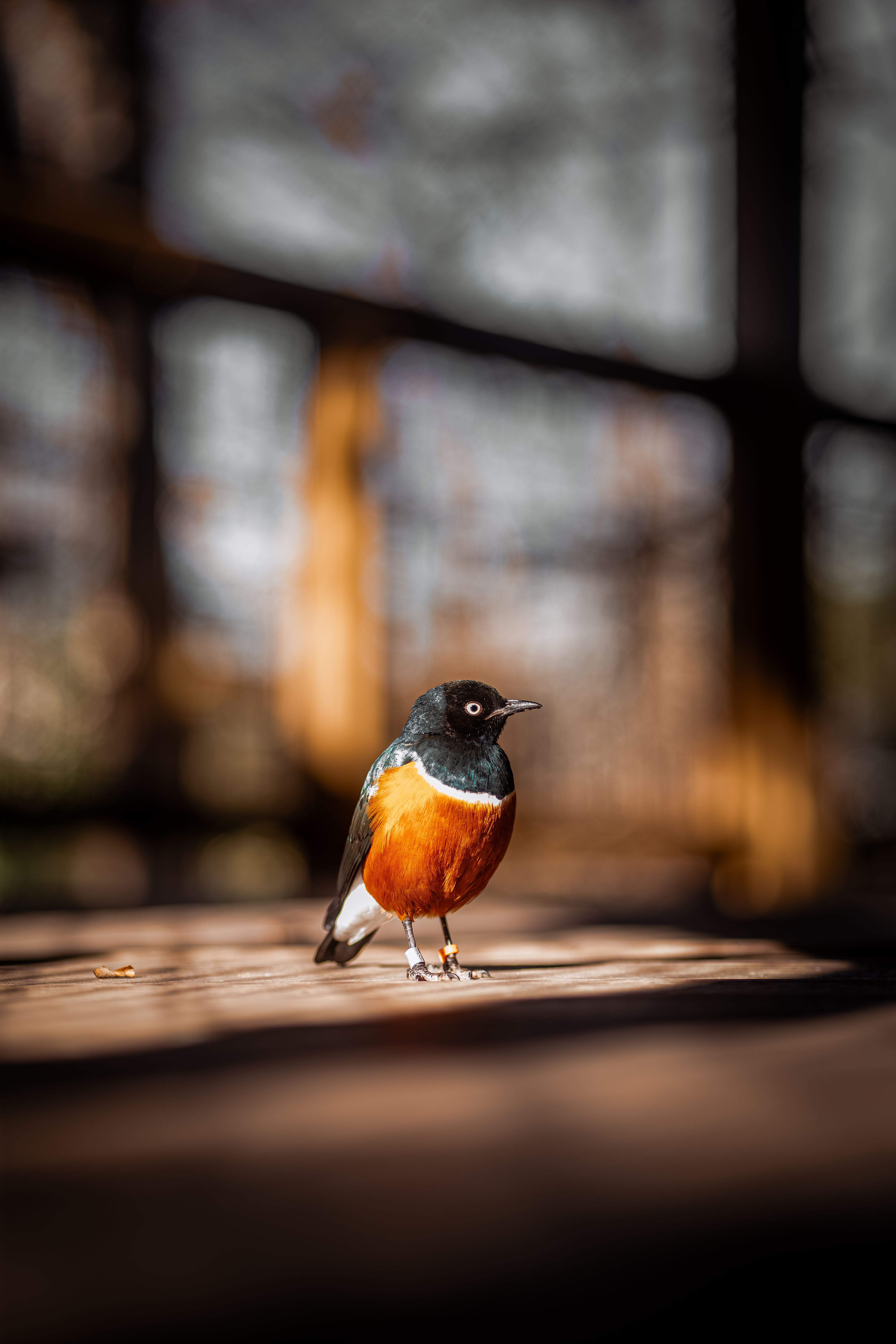 Download+4ن Photos, Download The BEST Free Download+4ن Stock Photos ...