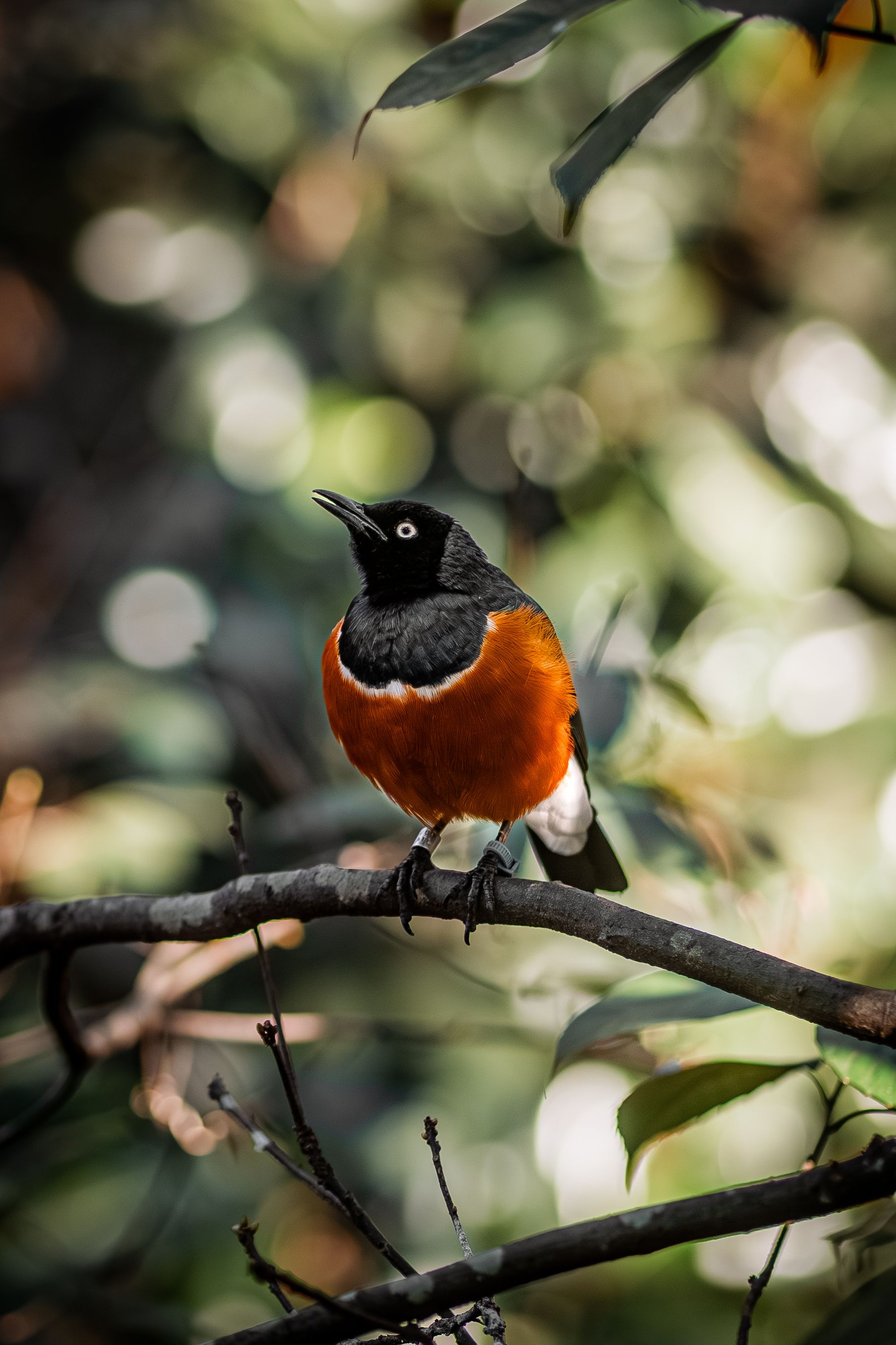 Tracking Pixels Photos Download The Best Free Tracking Pixels Stock
