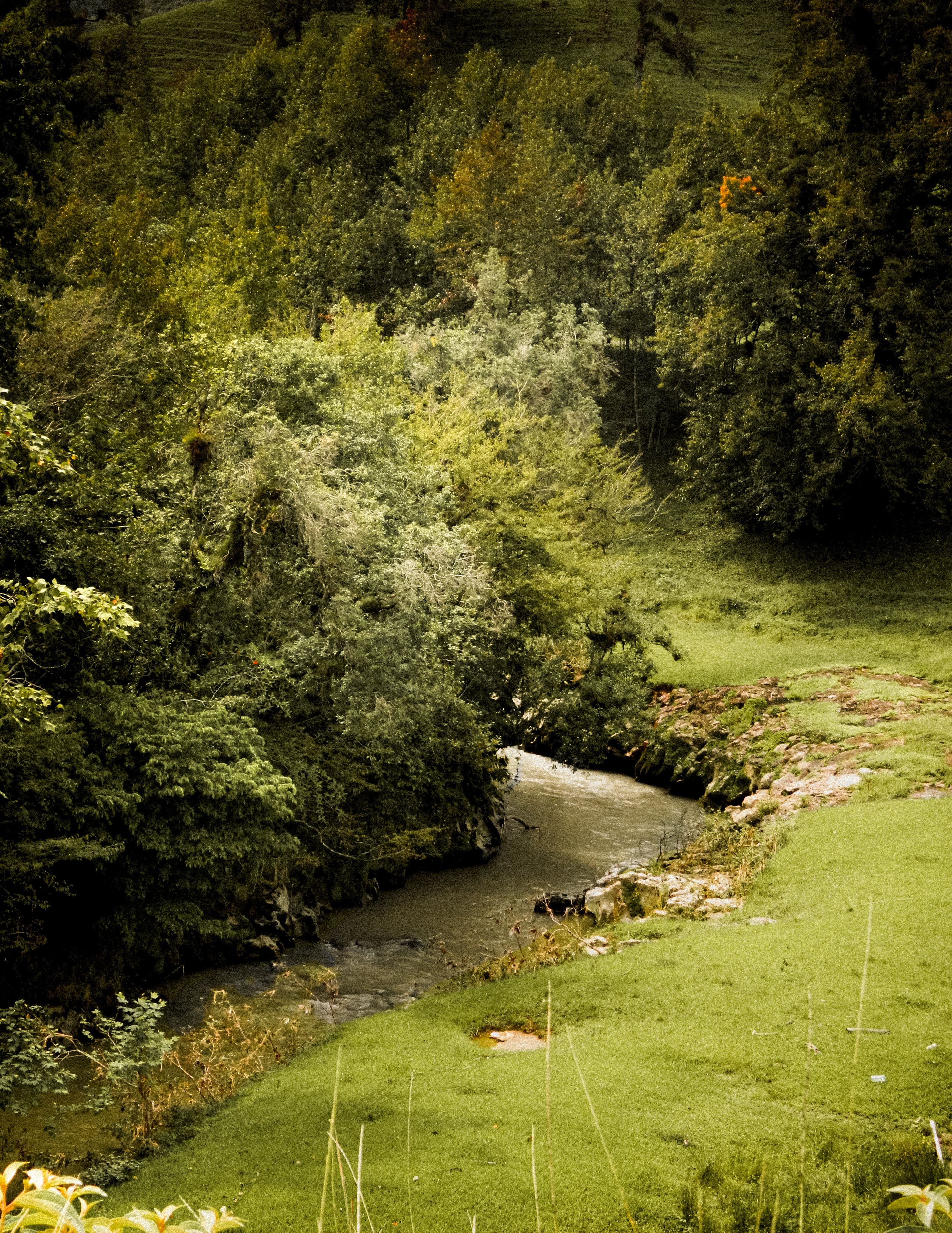 Brooke+Rysdon Photos, Download The BEST Free Brooke+Rysdon Stock Photos ...