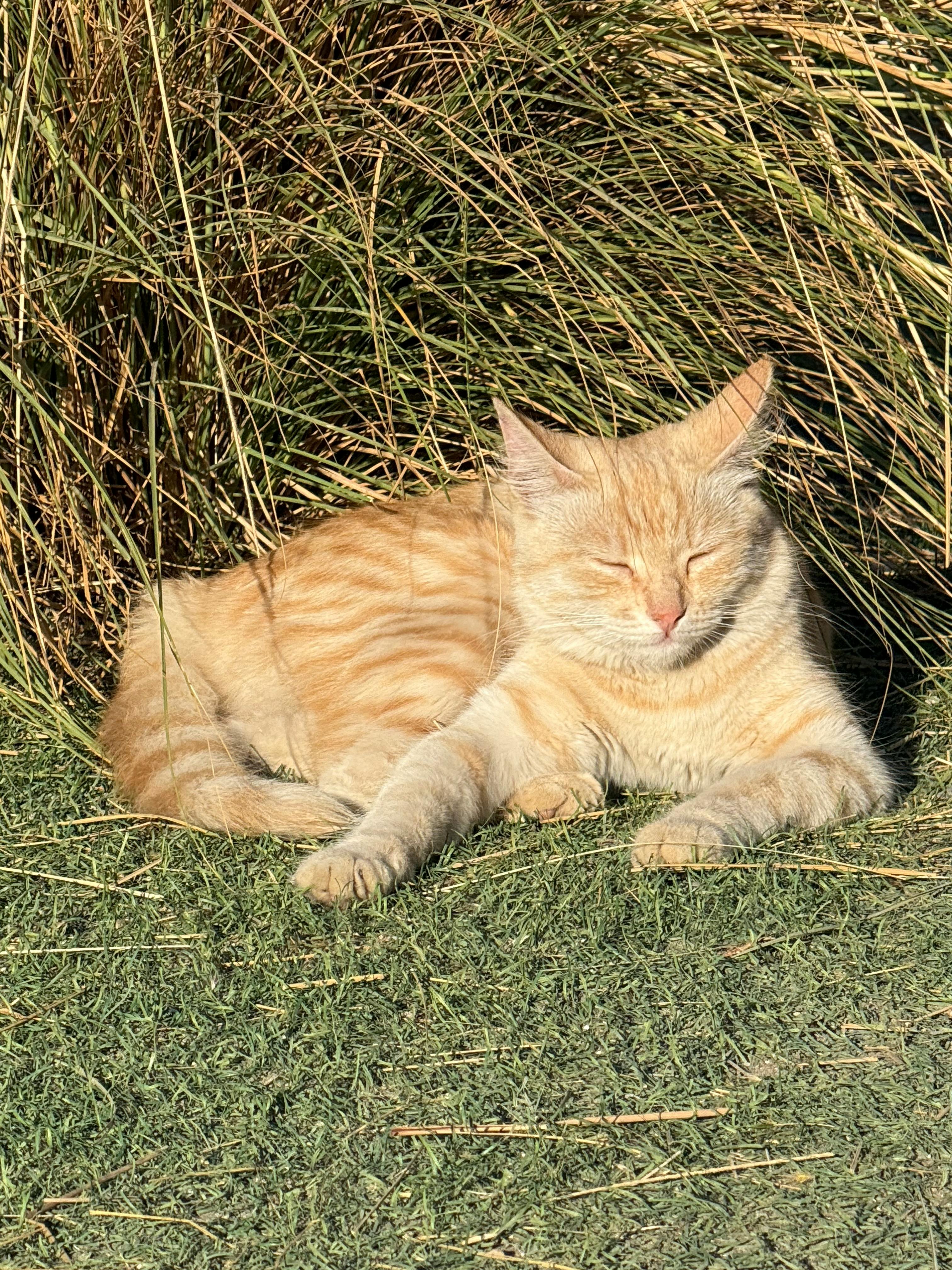 The 7 Deadly Sins Of PLR Content