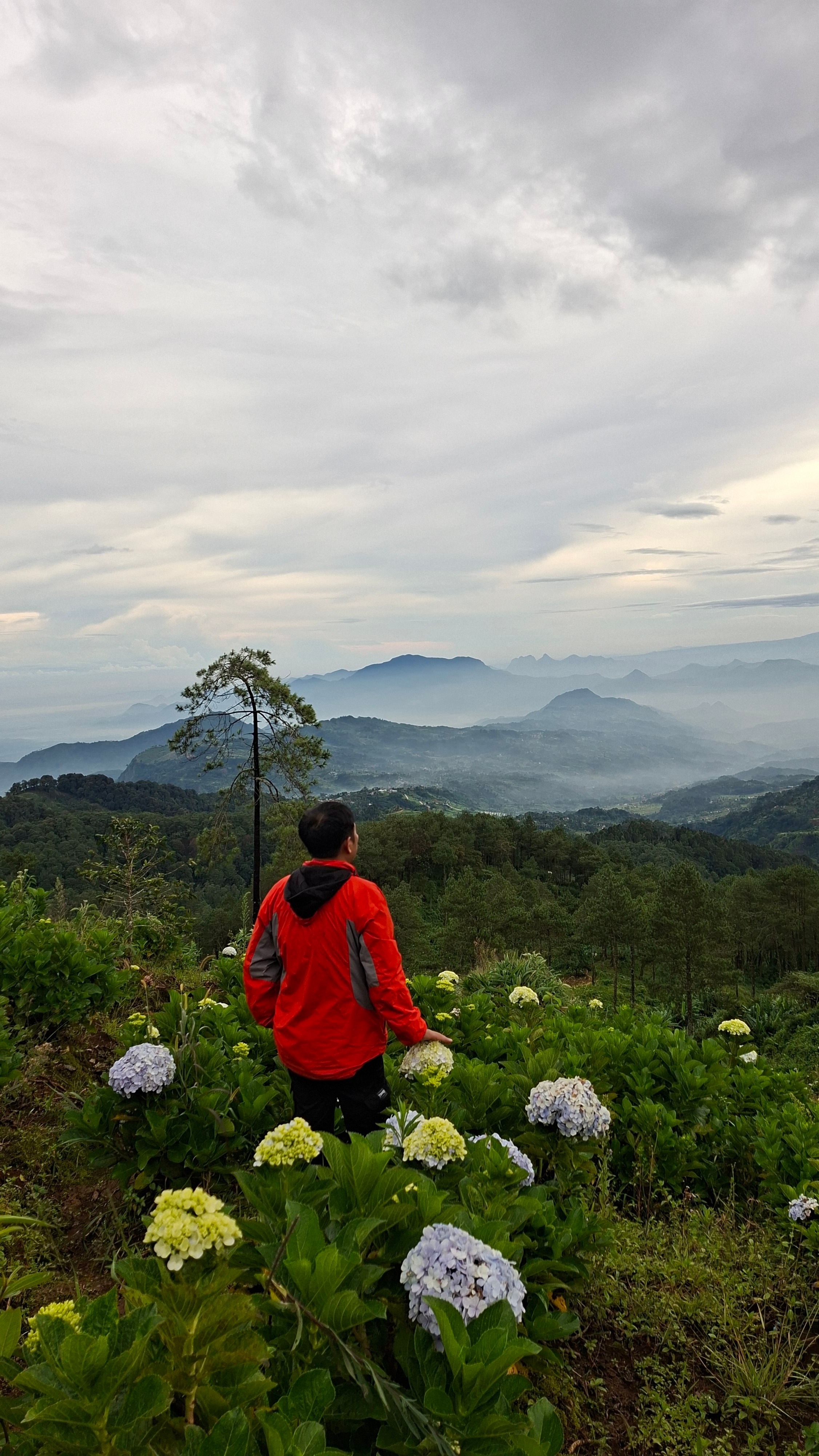 Person enjoying scenic mountain landscape with lush greenery and cloudy sky.