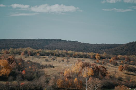 A serene autumn landscape with forested hills and vibrant foliage in Hungary, creating a tranquil atmosphere.