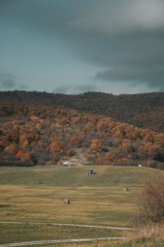 Captivating autumn view of Hungarian hills with colorful foliage under a moody sky.