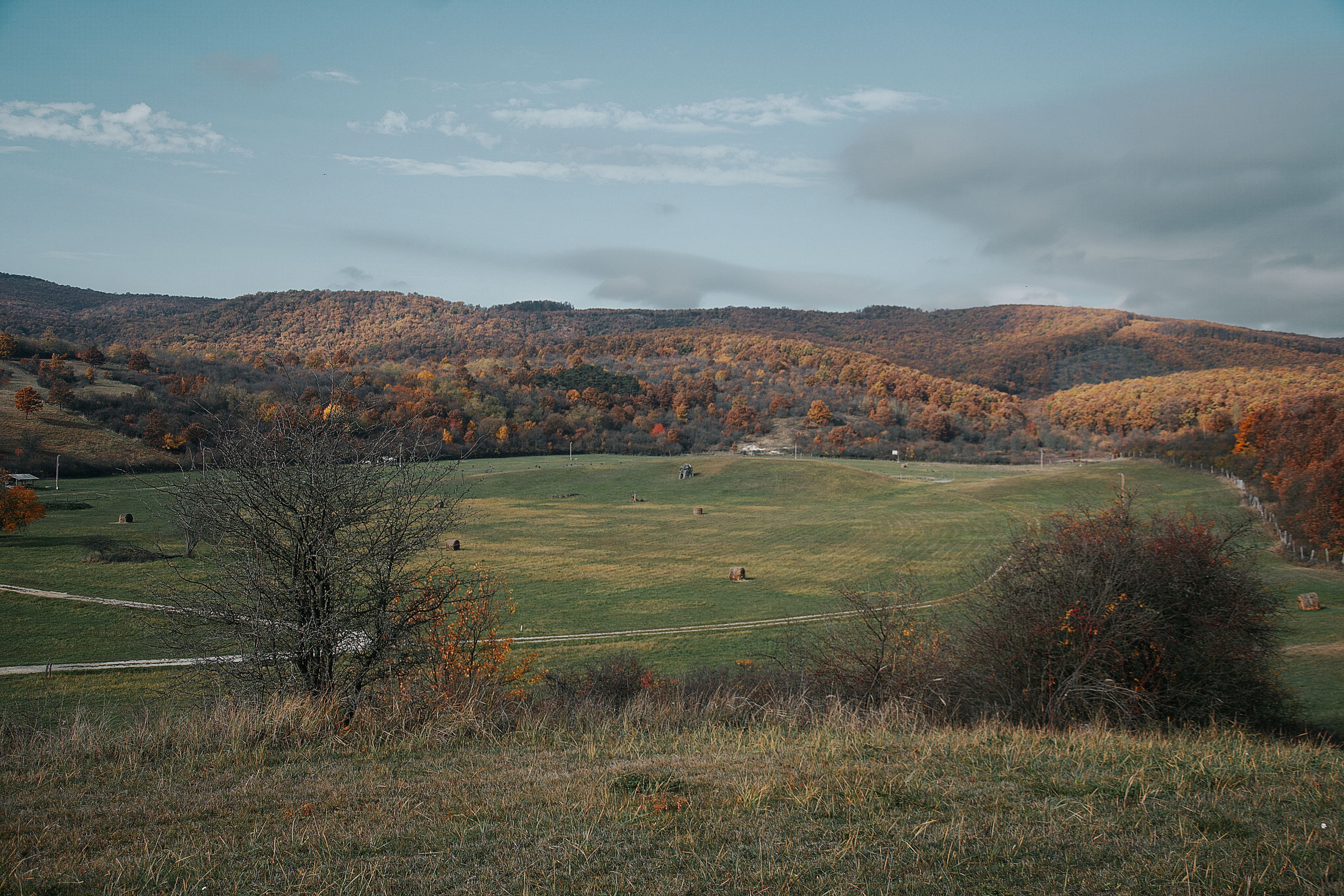 Scenic Autumn Landscape in Hungary's Countryside · Free Stock Photo