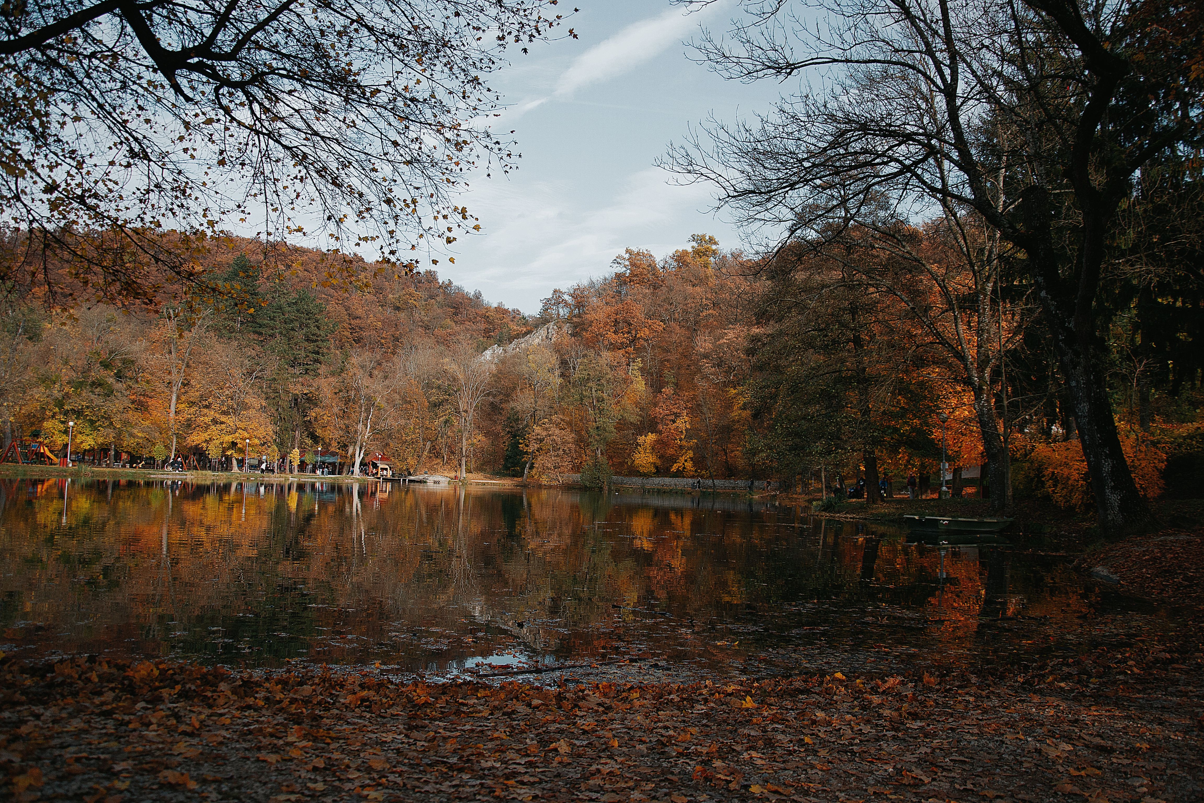 Scenic Autumn Reflection in Hungarian Park · Free Stock Photo