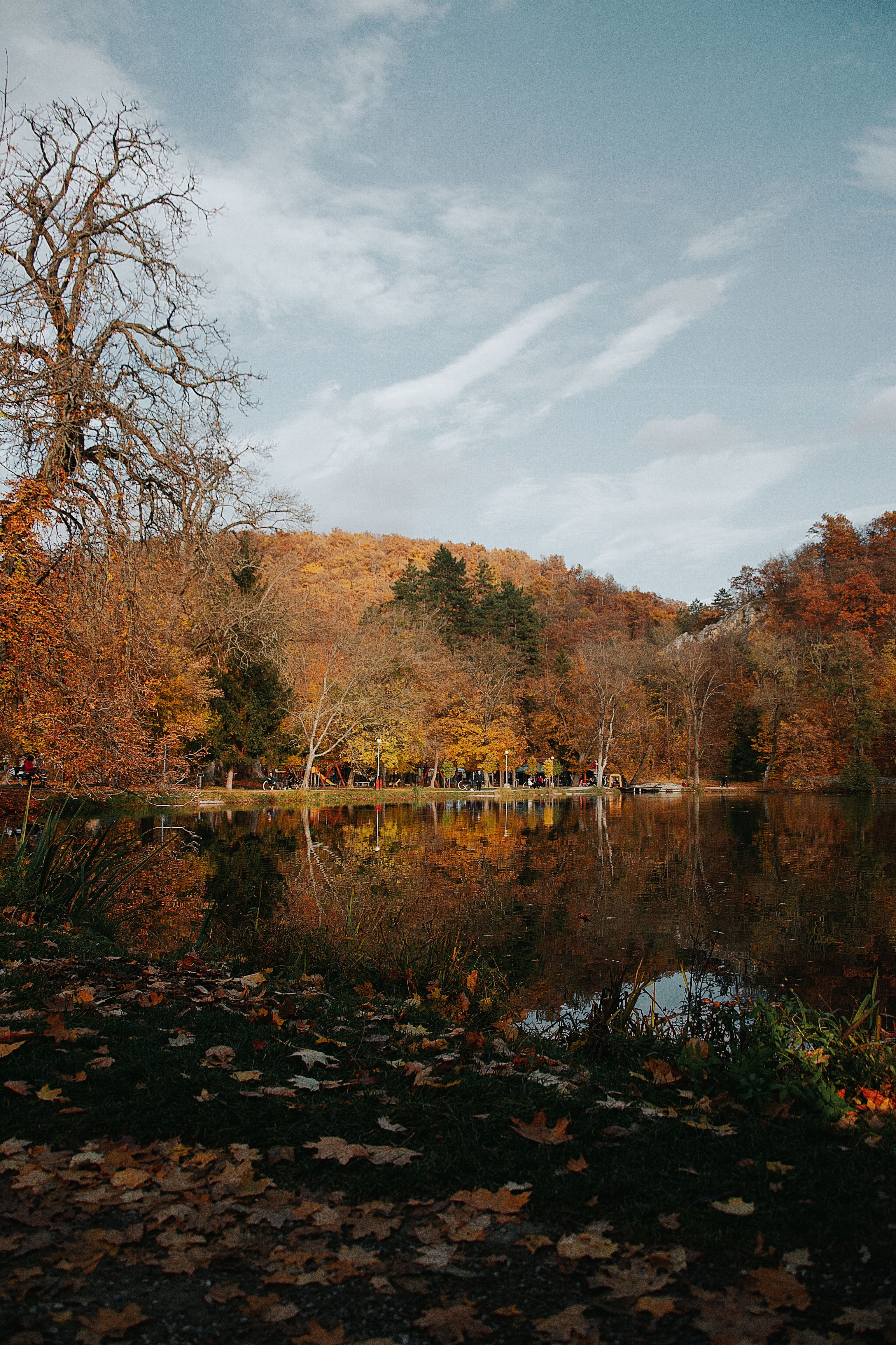 Serene Autumn Lake Reflection in Hungary · Free Stock Photo
