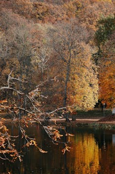 Peaceful autumn landscape with vibrant foliage reflected in a tranquil lake in Hungary.
