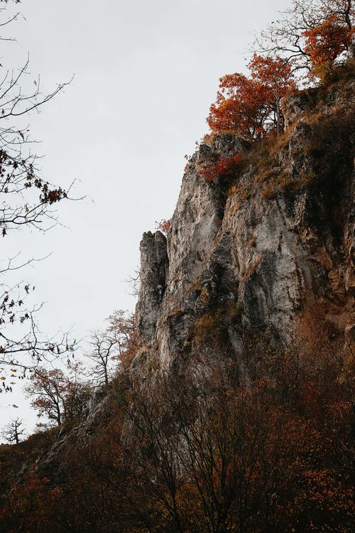 Free Beautiful autumn trees on a rugged cliffside in Hungary, captured in serene natural light. Stock Photo