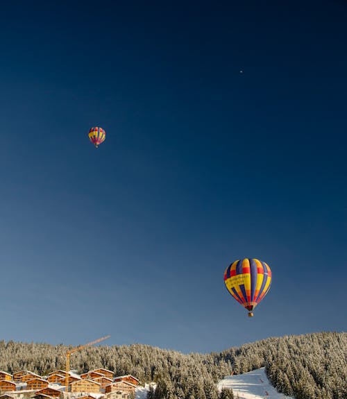 Imagine de stoc gratuită din avion, baloane cu aer cald, brazi