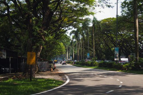 Free A scenic road in Johor Bahru, Malaysia, lined with lush green trees under a sunny sky. Stock Photo