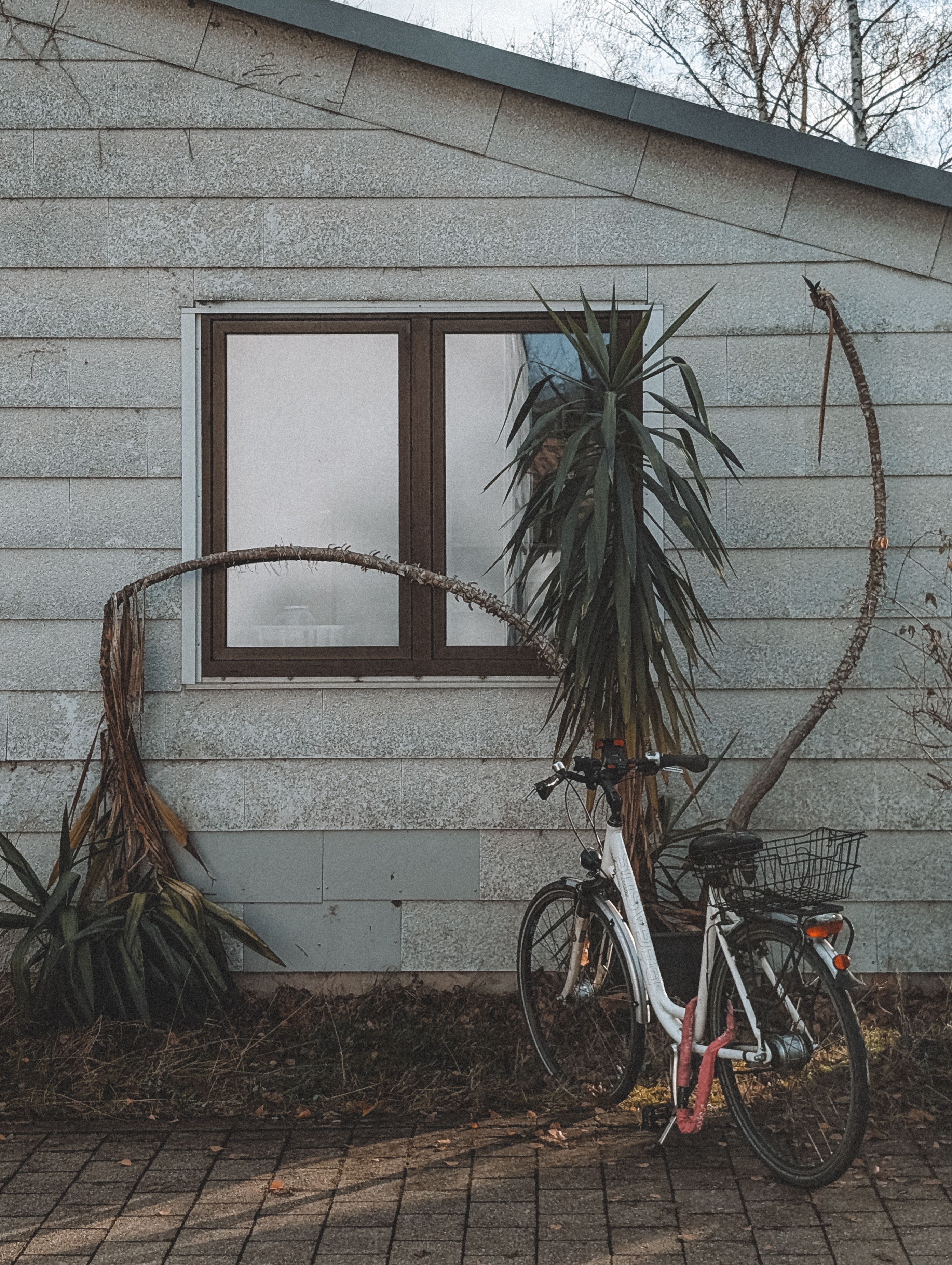 House Texture Photos, Download The BEST Free House Texture Stock Photos ...