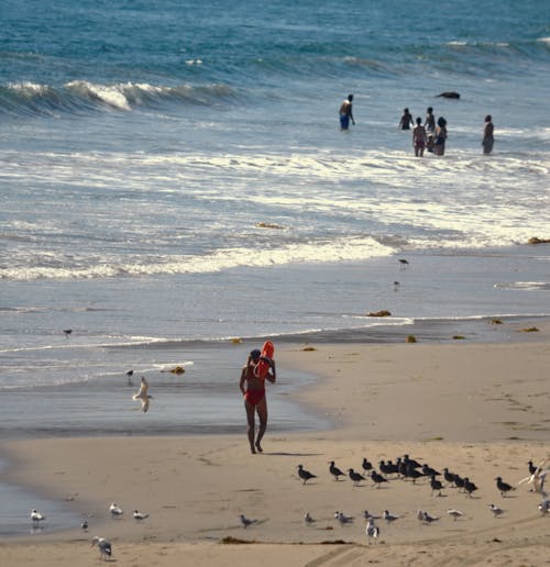 Free stock photo of beach pictures, beaches, diana westberg