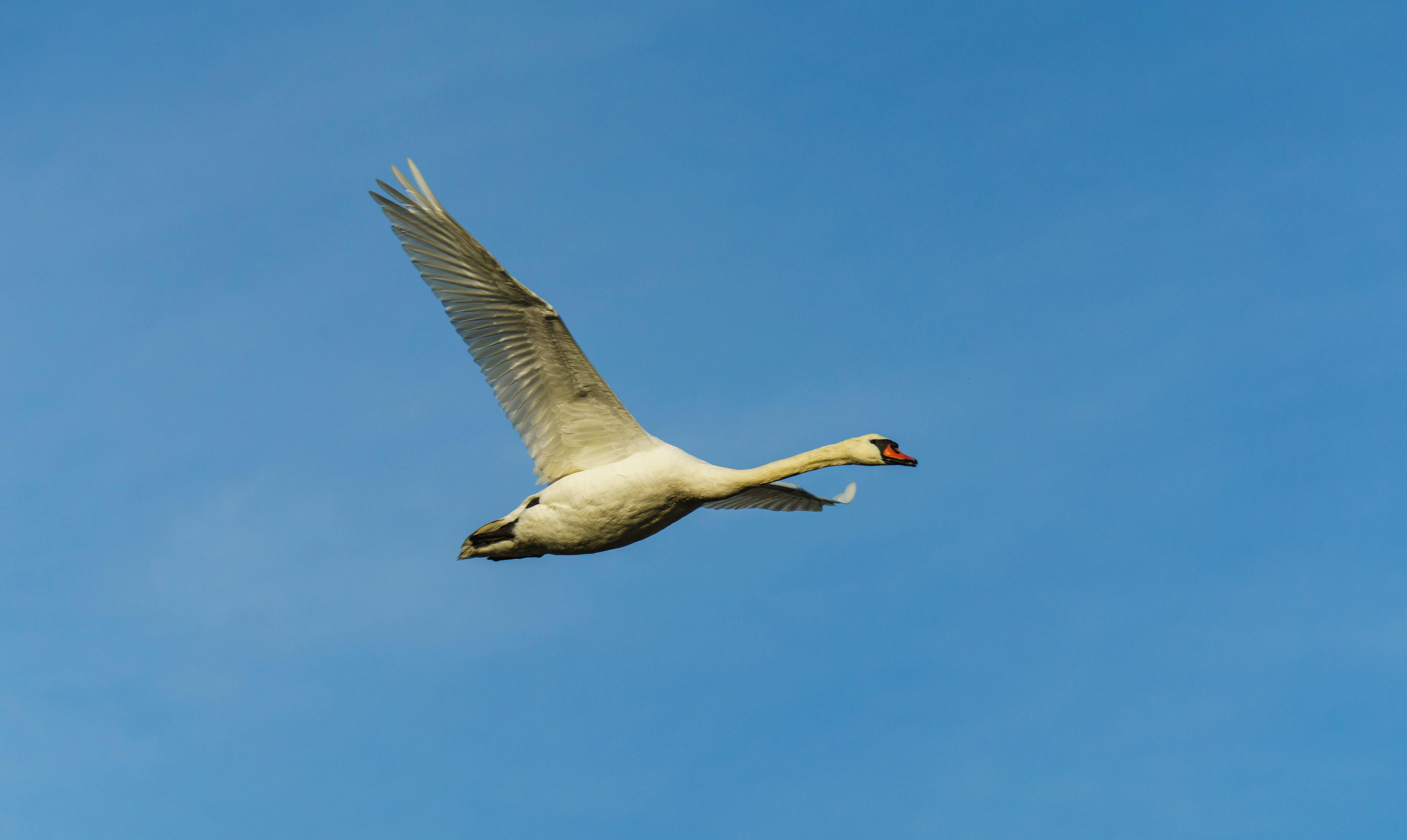 Free Website Builder Options Comparison | Free website banane ka tarika