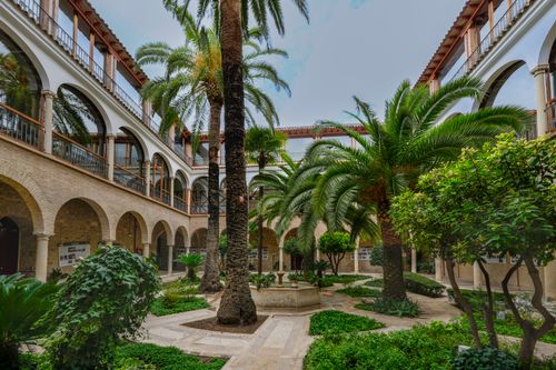 Free Elegant Andalusian courtyard with palm trees and arches in Jaén, Spain. Stock Photo