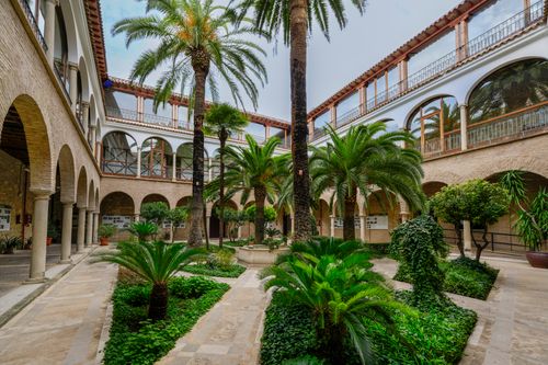 Free Explore the serene greenery of a historic courtyard in Jaén, with palm trees and arches. Stock Photo