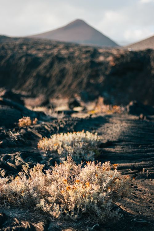 Free Arid landscape with volcanic mountain and dry vegetation, captured during daylight. Stock Photo
