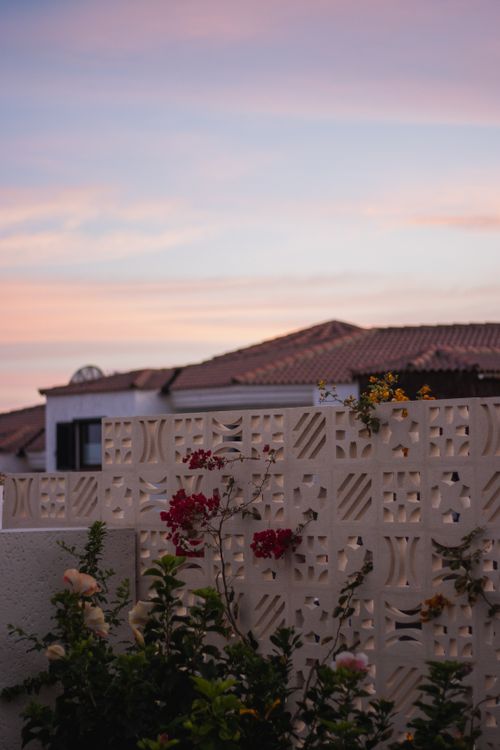 Free Serene sunset over a garden wall with flowers and pastel sky. Stock Photo