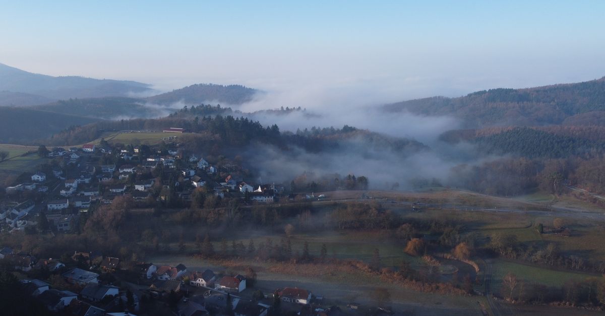 Naturlandschaft im Pfälzerwald mit bewaldeten Hügeln als Ausflugsziel