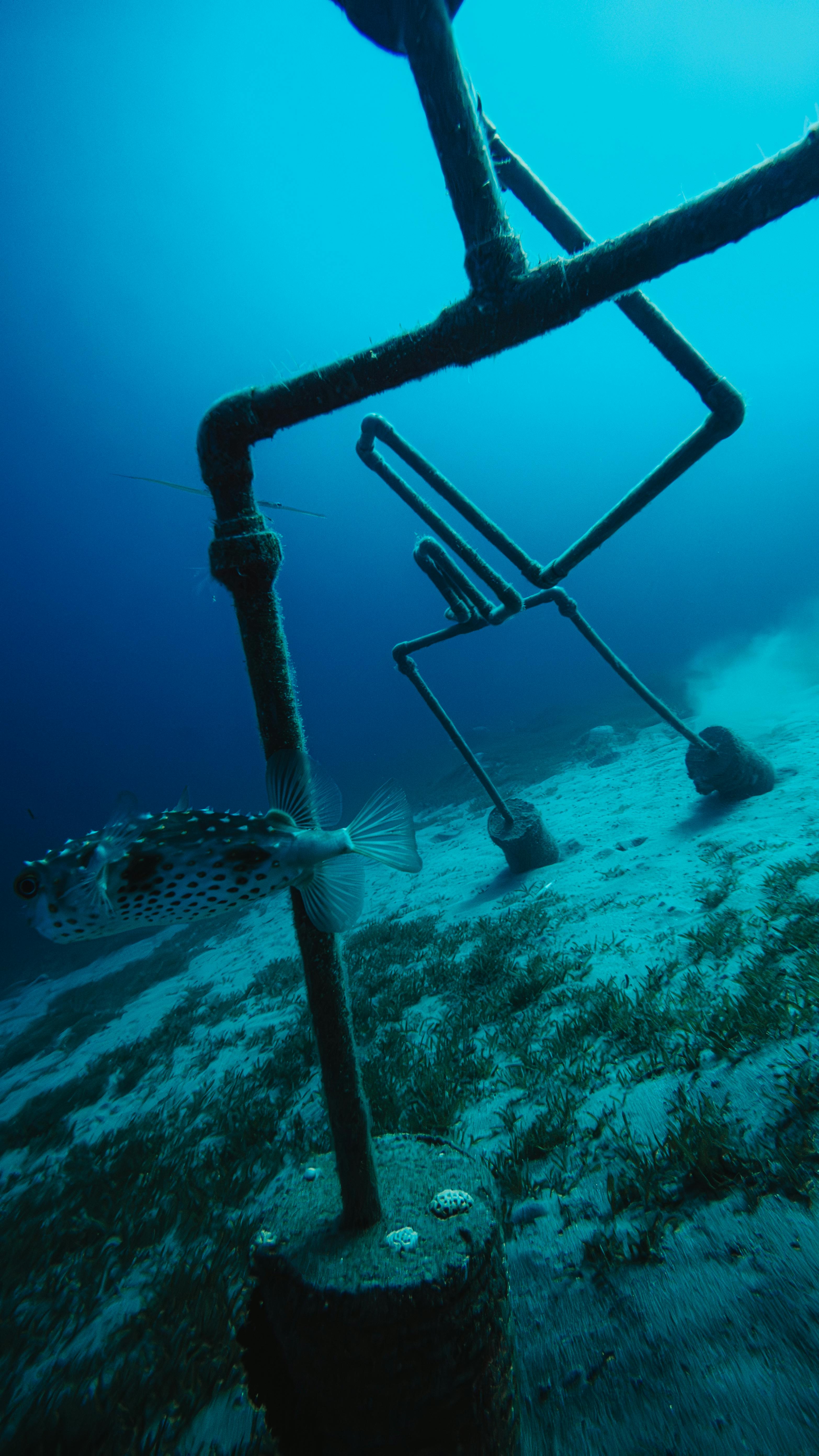 ما وراء المحفظة: الأبعاد الاجتماعية والبيئية لاقتصاد الوصول