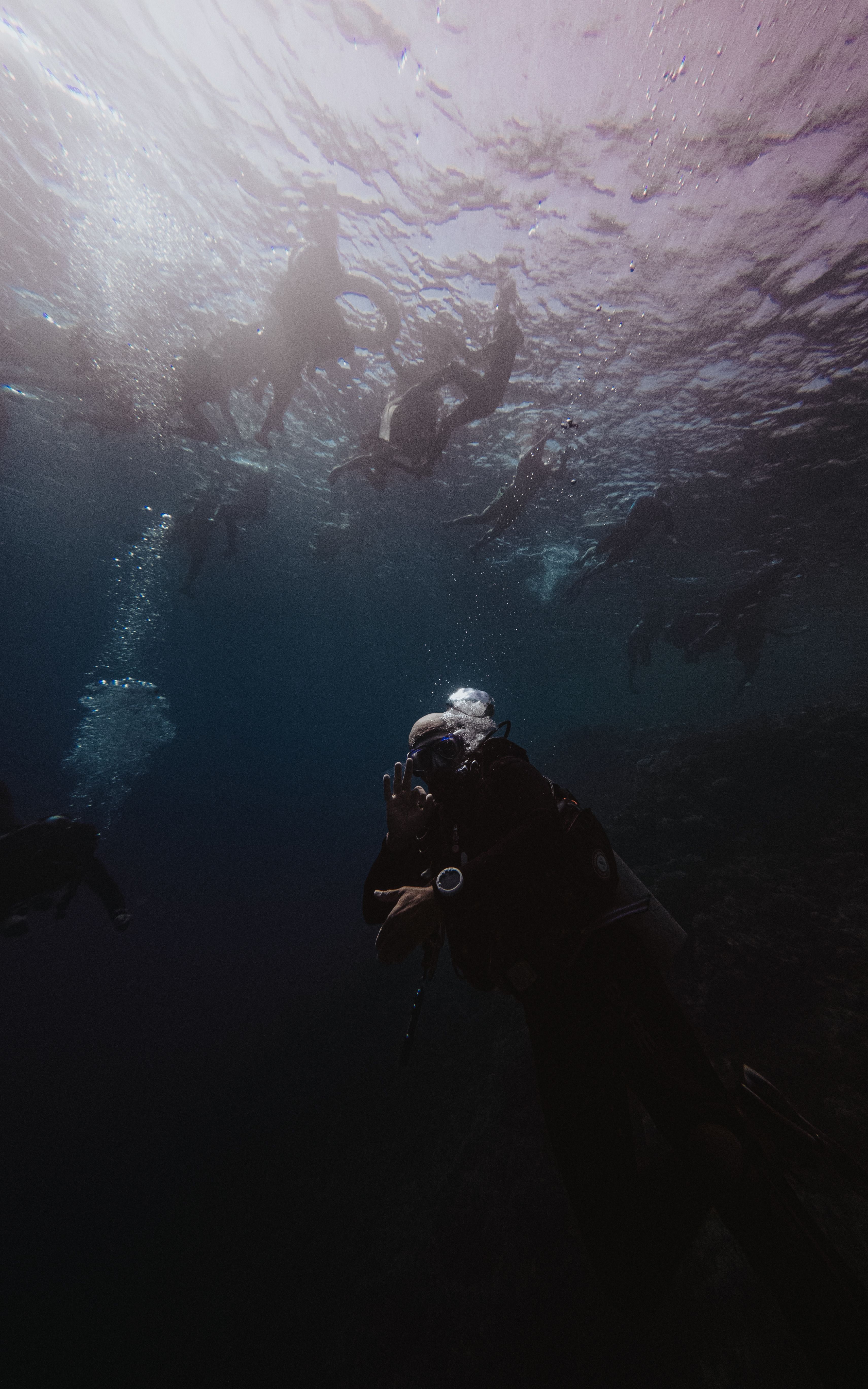 A Deep Dive⁤ into Features and User Experience