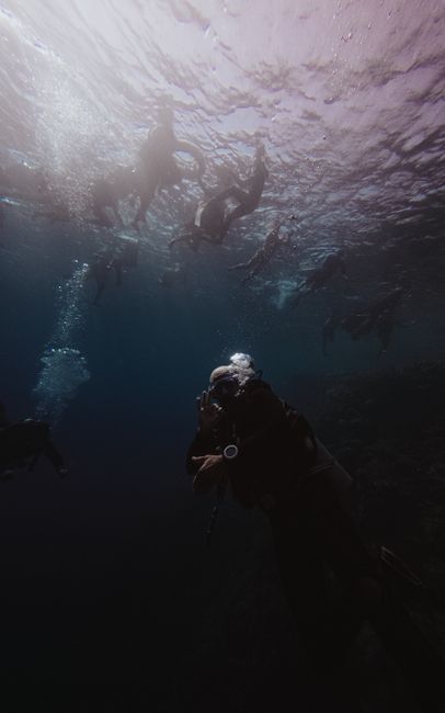 A Deep Dive into Features and User Experience