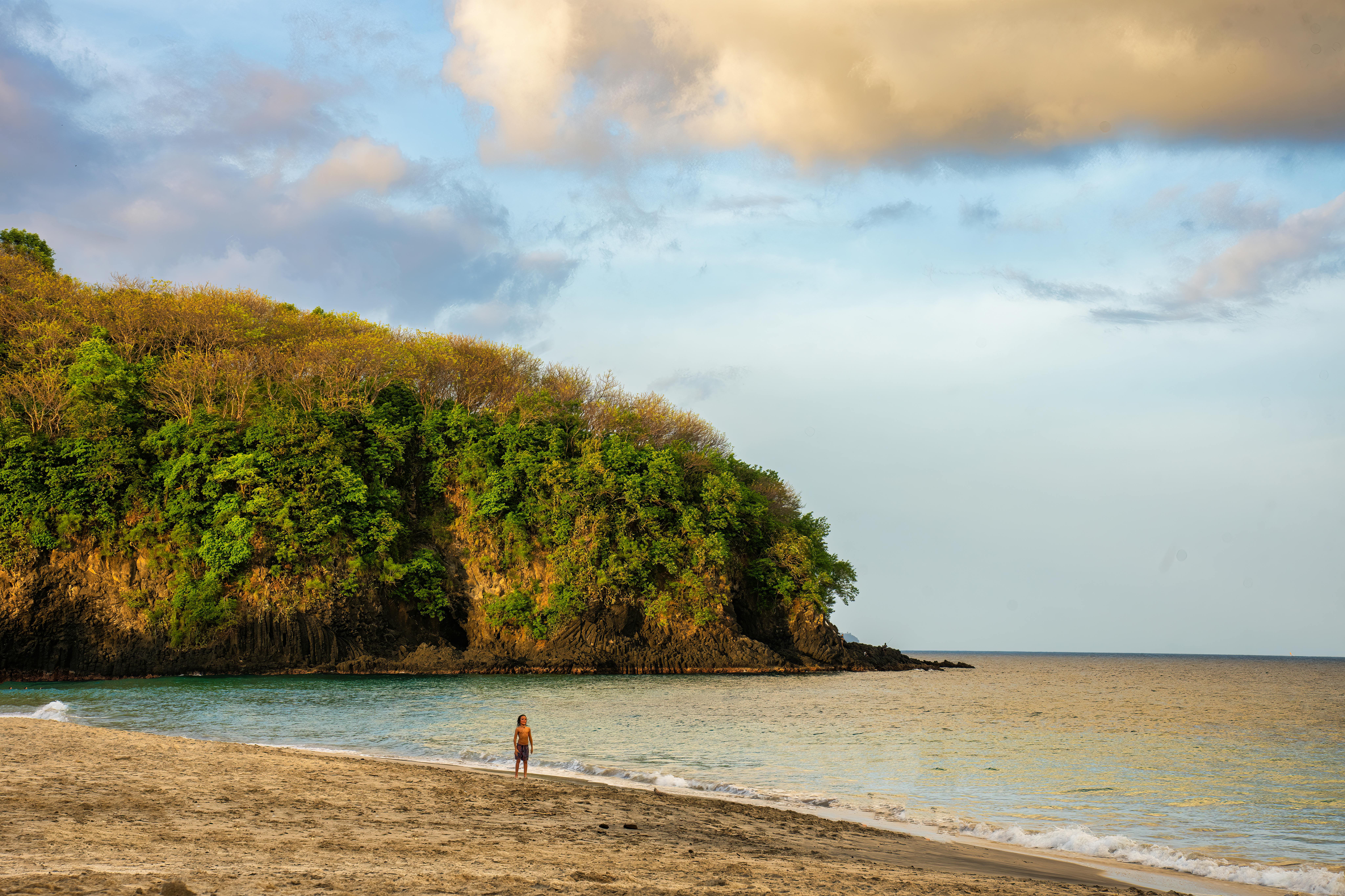 Strand mit Palmen auf Saint Vincent und den Grenadinen
