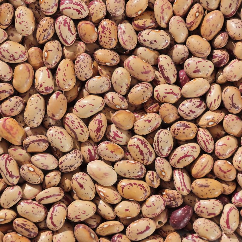 Family-Friendly Instant Pot Pinto Bean and Salsa Dip