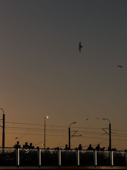 Free Silhouettes of people on a bridge at sunset with birds in flight. Captivating urban scene. Stock Photo
