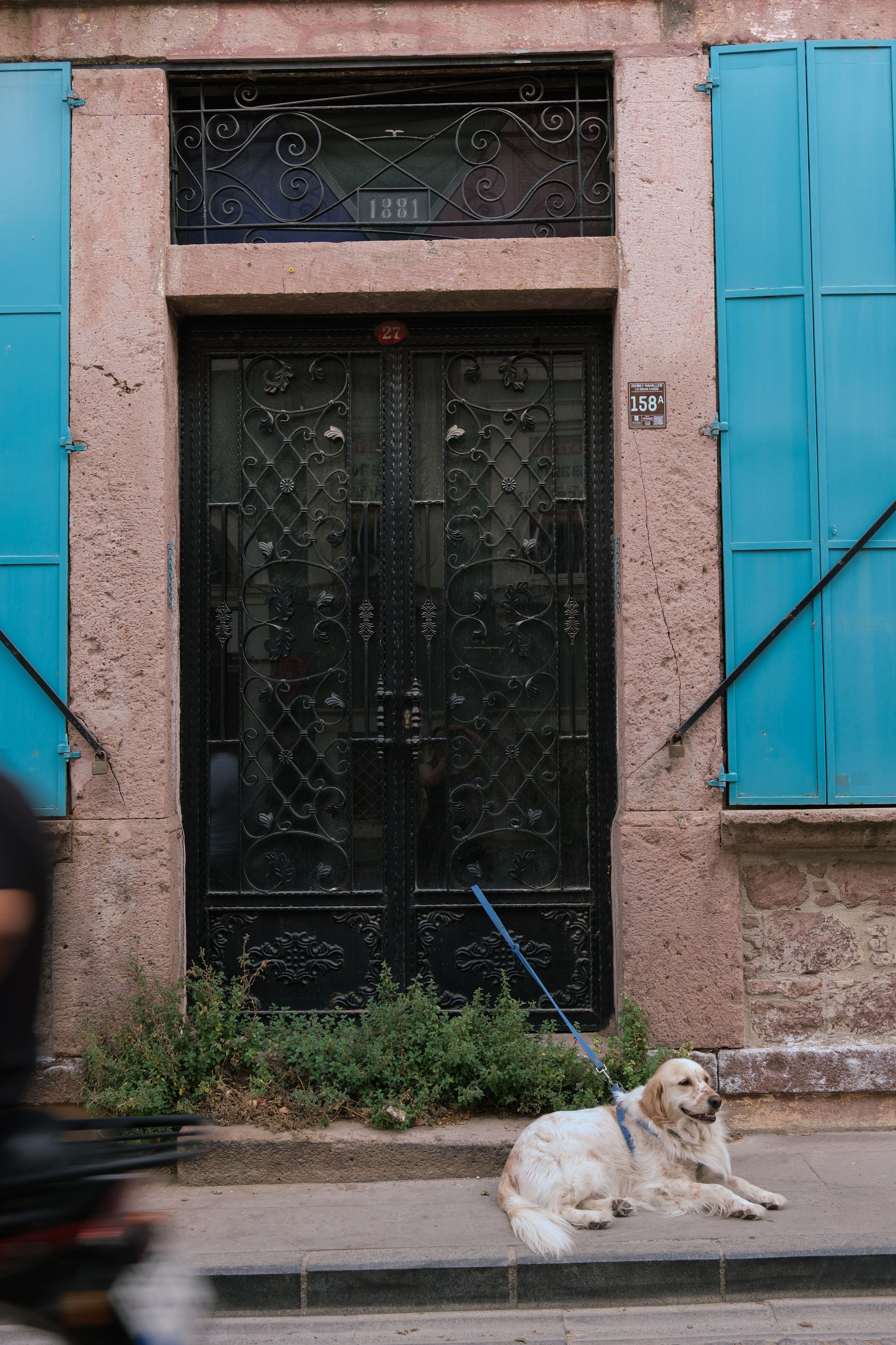 Golden Shutter Photos, Download The BEST Free Golden Shutter Stock ...