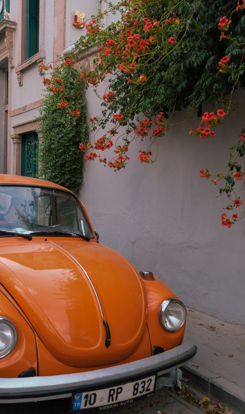 Free Orange vintage car parked beside a wall with vibrant red flowers climbing above. Stock Photo