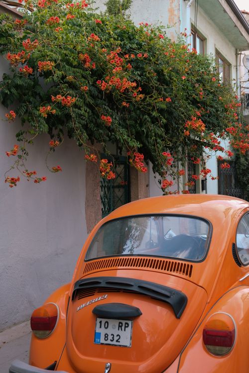 Free Vintage orange car parked by a wall with vibrant orange flowers. Stock Photo