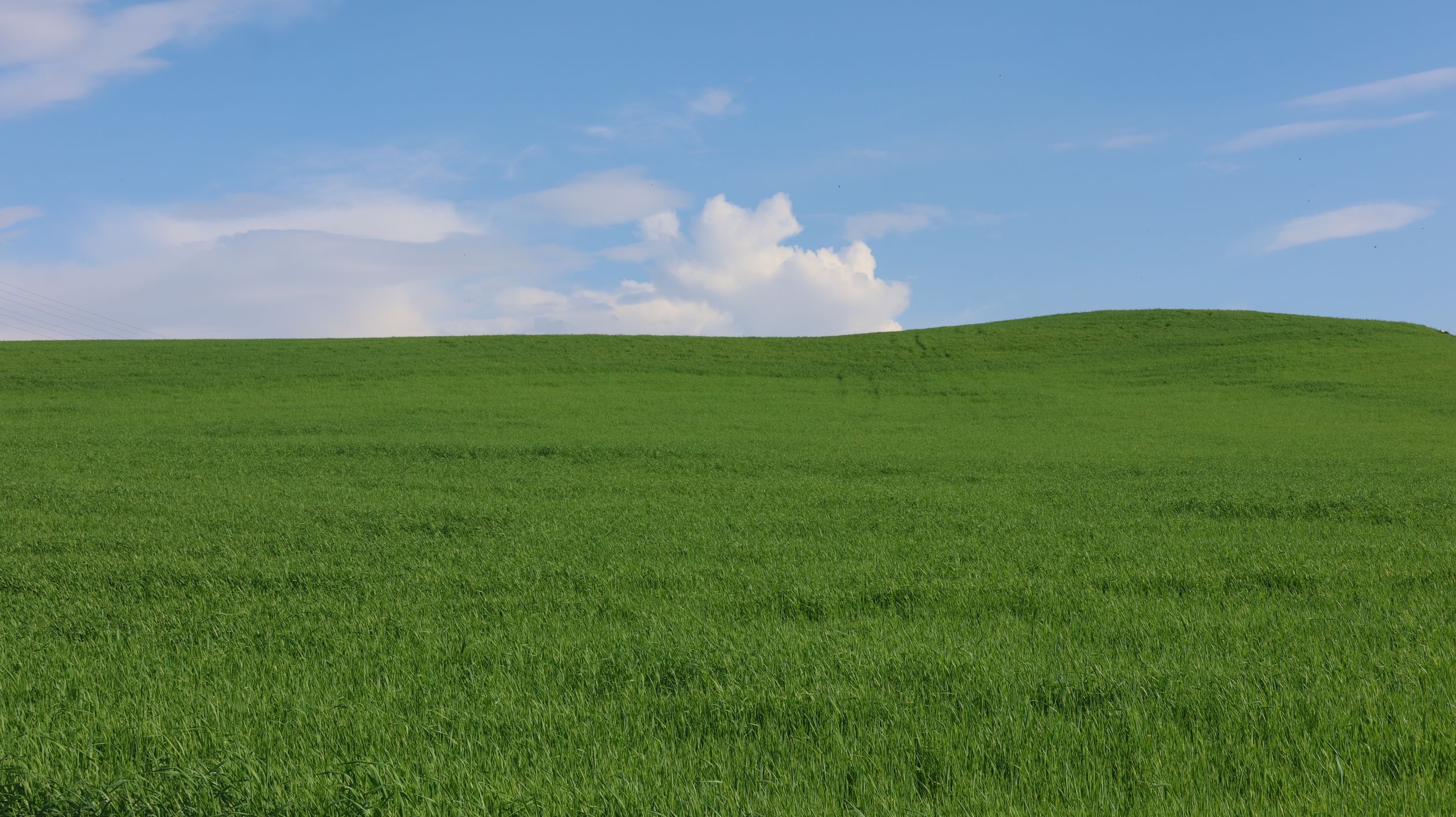 Vibrant Green Meadow Under Clear Blue Sky · Free Stock Photo