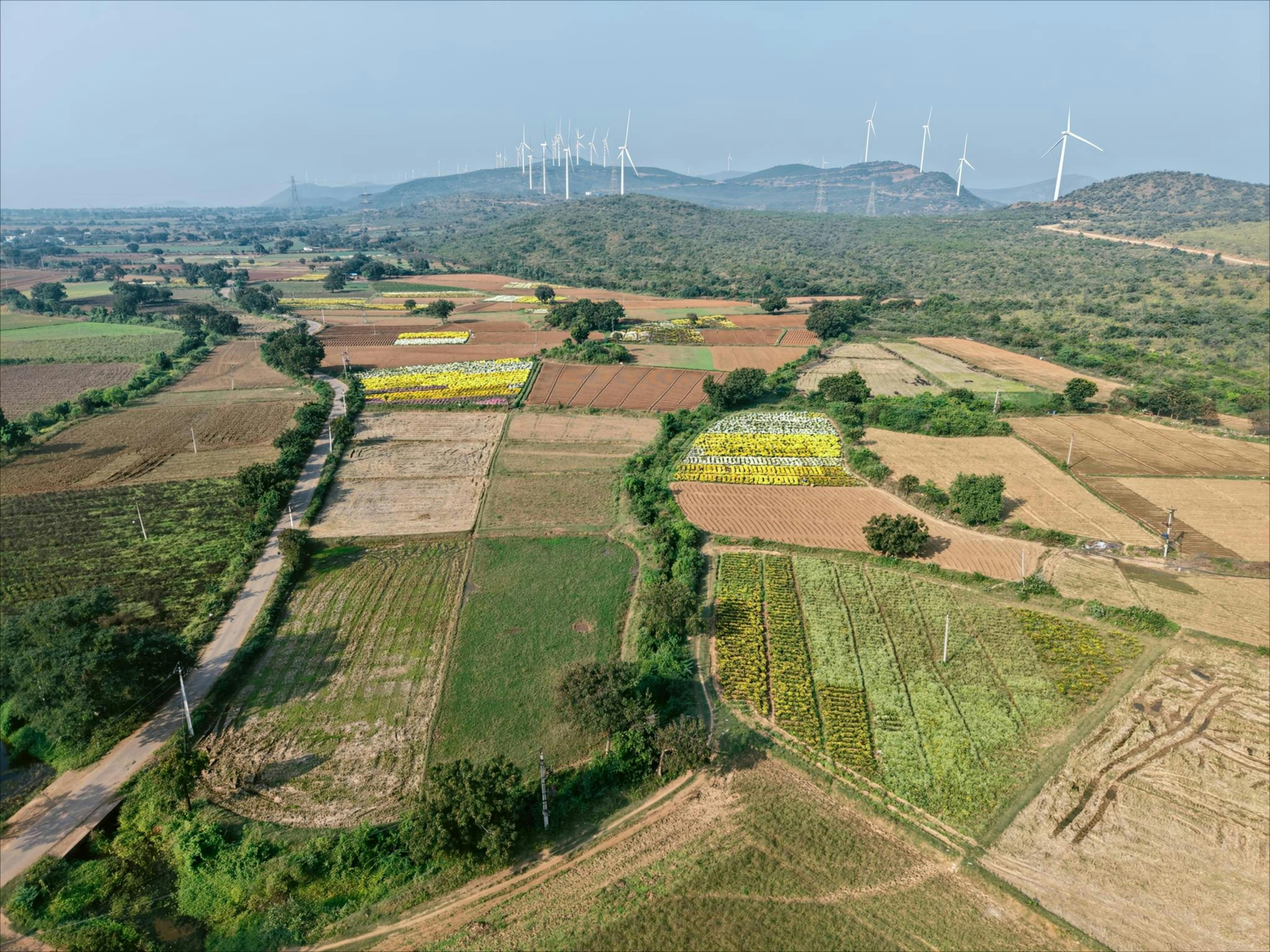 Sustainability of green hydrogen technologies depends on energy mix and supply chain — Photo by venkat krishna on Pexels
