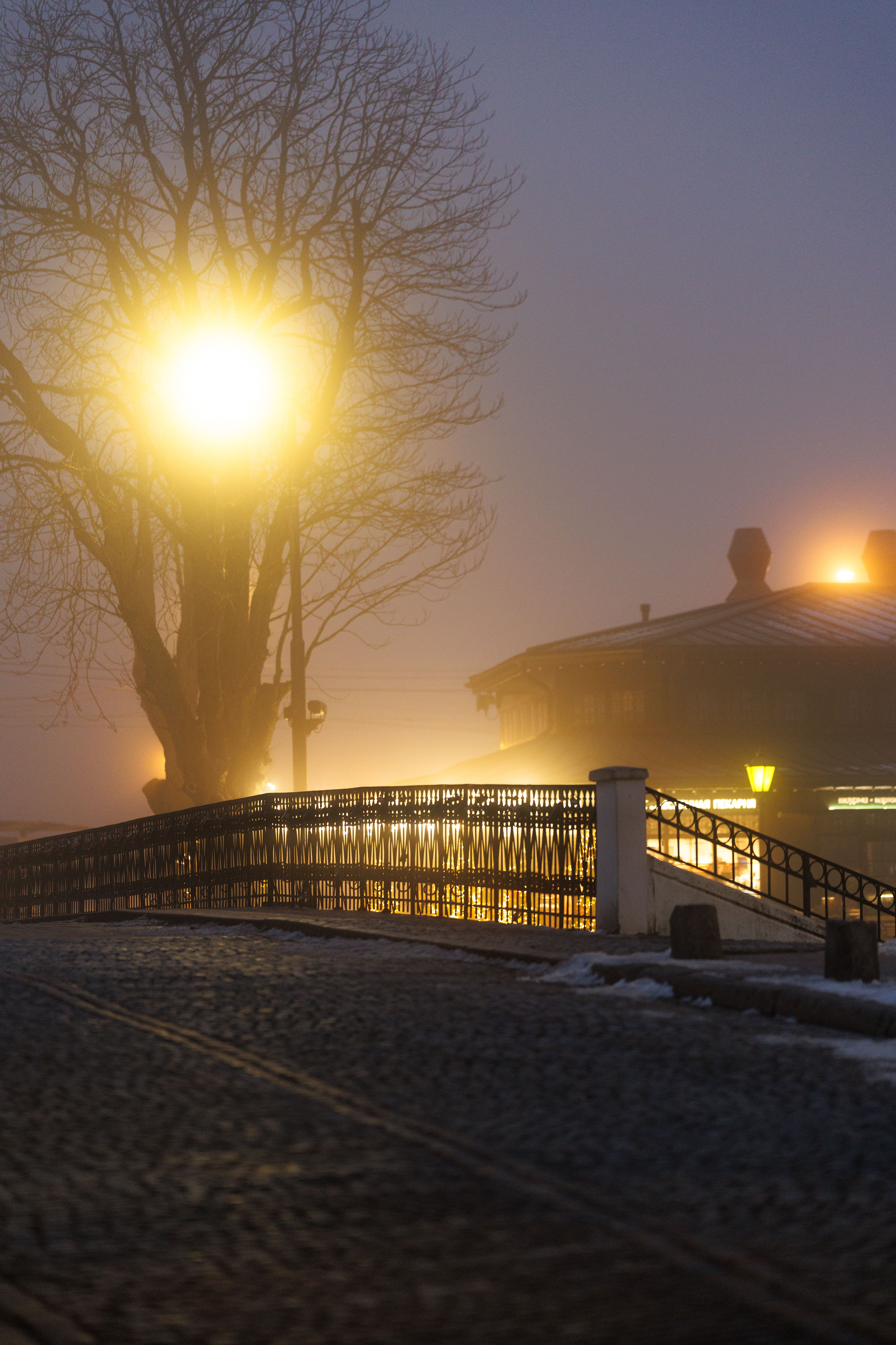 Misty night scene, photo by Alexander Popadin on Pexels
