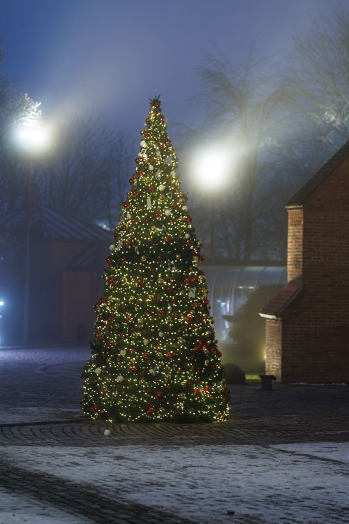 Free A beautifully decorated Christmas tree glows in the quiet, misty night atmosphere. Stock Photo