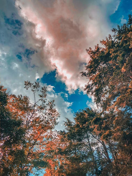 Základová fotografie zdarma na téma krásná obloha, mraky, mraky oblohy