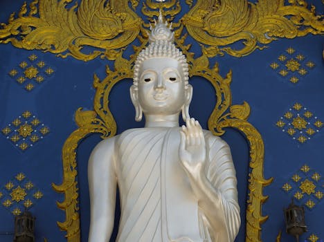 🎁 🔤🔤🔤🔤🔤 🔤 🔤🔤🔤🔤🔤🔤🔤🔤🔤🔤🔤🔤🔤 ❗️__открыто, особенно ищем админов по вп__ ➡️__нихао мои друзья ! мы откр...