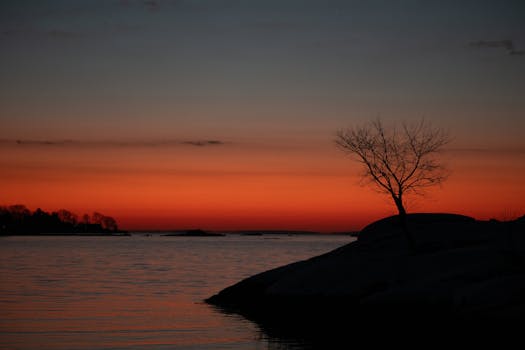 A breathtaking winter sunrise over Cove Island Park, Stamford, capturing the serene silhouette of a lone tree.